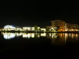 Videó