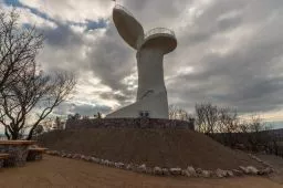 Videó