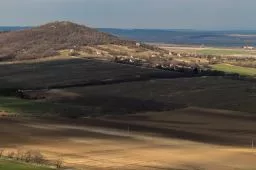 Videó