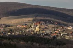 Videó