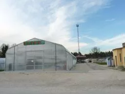 Videó