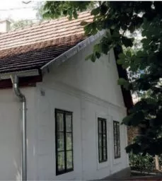 Videó