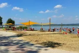 Videó