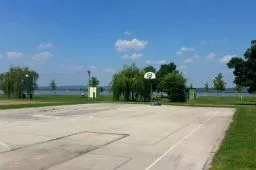 Videó