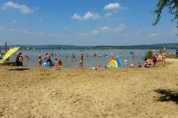 Videó