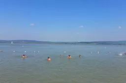 Videó