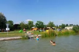 Videó