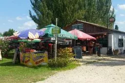 Videó