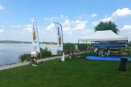 Videó