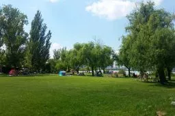 Videó