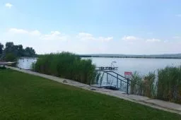 Videó