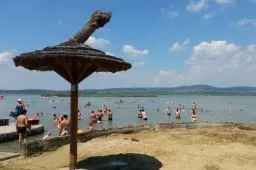 Videó