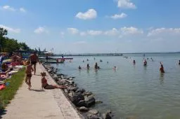 Videó
