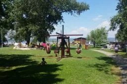 Videó