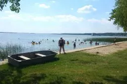 Videó