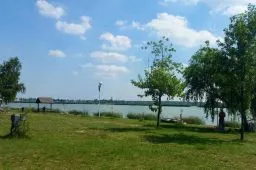 Videó