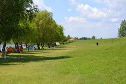 Videó