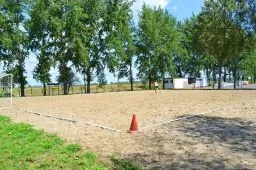 Videó