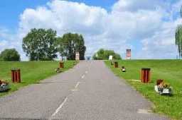 Videó