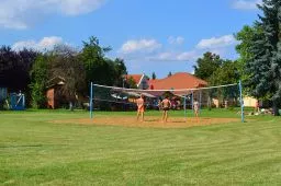 Videó