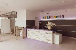 Videó