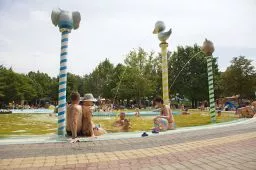 Videó
