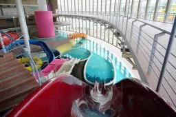 Videó