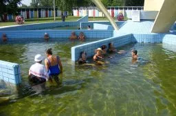 Videó