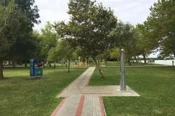 Videó