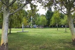 Videó