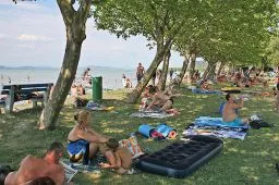Videó