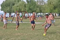 Videó
