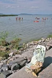 Videó