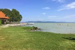 Videó