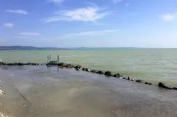 Videó
