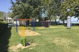 Videó