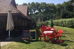 Videó