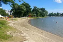 Videó