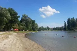 Videó