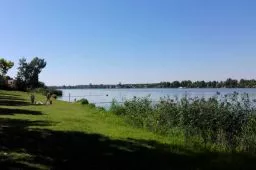 Videó