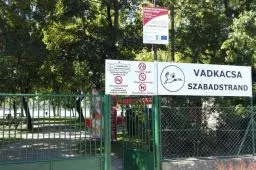 Videó