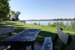 Videó