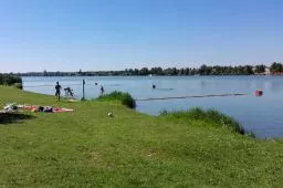 Videó