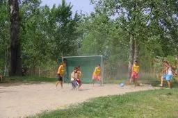 Videó