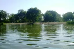 Videó