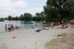 Videó