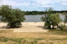 Videó