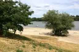 Videó