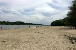 Videó