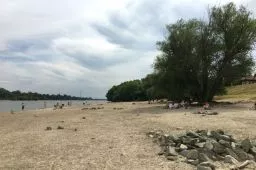 Videó